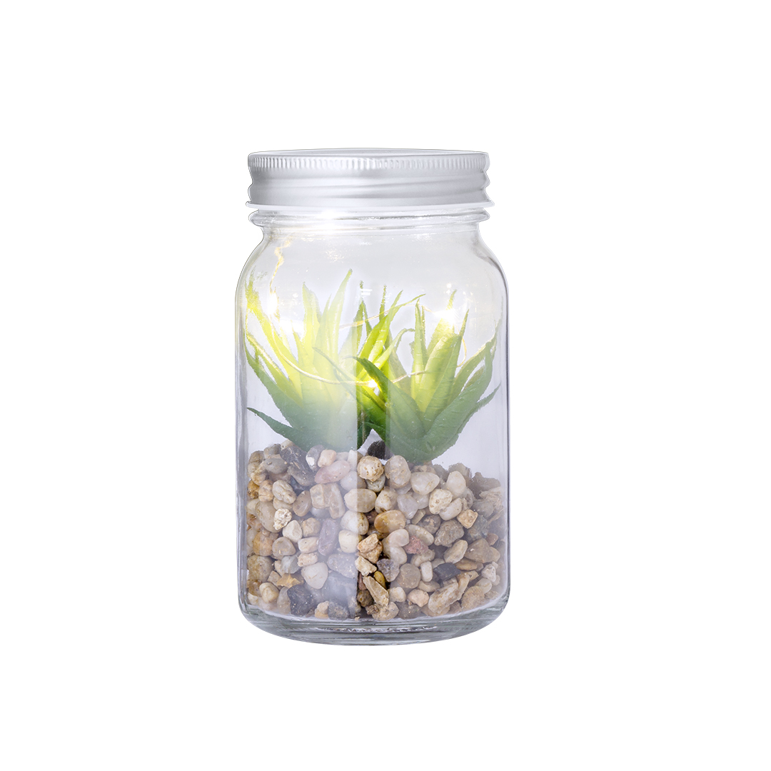 Planta Decorativa - Kyala